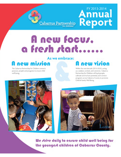 ann report 2014