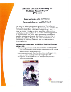 ann report 2015